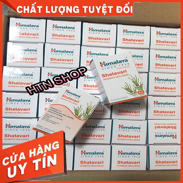 Thiên môn chùm đẹp da, lợi sữa - Himalaya Shatavari