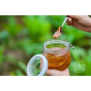 Sâm gừng mật ong Lá Mây 500ml