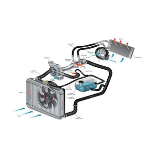 Bộ dung dịch xúc rửa két nước 33326E