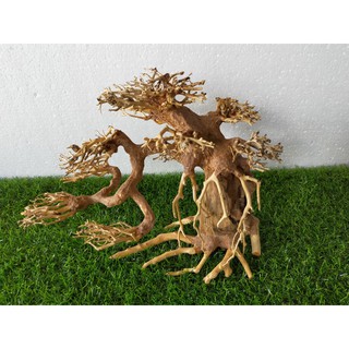 Cây Bonsai cho hồ cá size đại