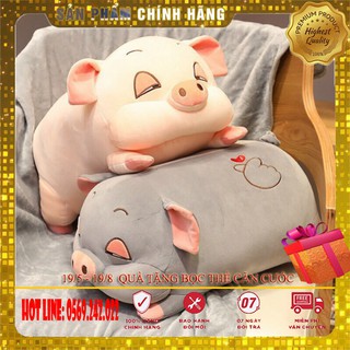 Set chăn gối ôm hình lợn siêu xinh