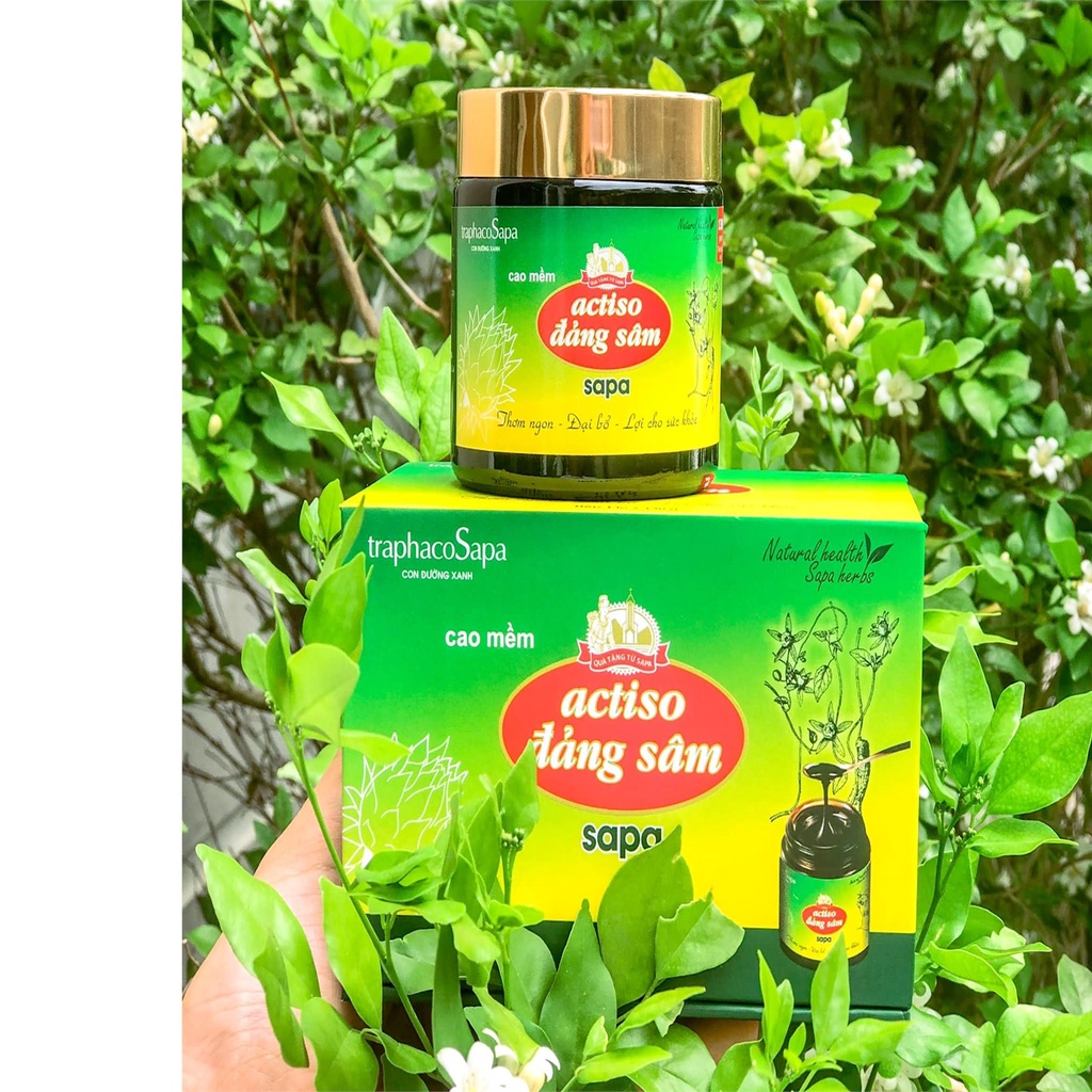 Cao Mềm Actiso - Đảng Sâm Sapa - TRAPHACOSAPA - Bổ Tỳ, Bổ Gan, Hạ Men Gan, Căng Thẳng Mệt Mỏi