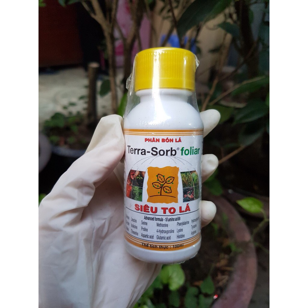 Phân bón lá cao cấp SIÊU TO LÁ terra-sorb foliar chai 100ml