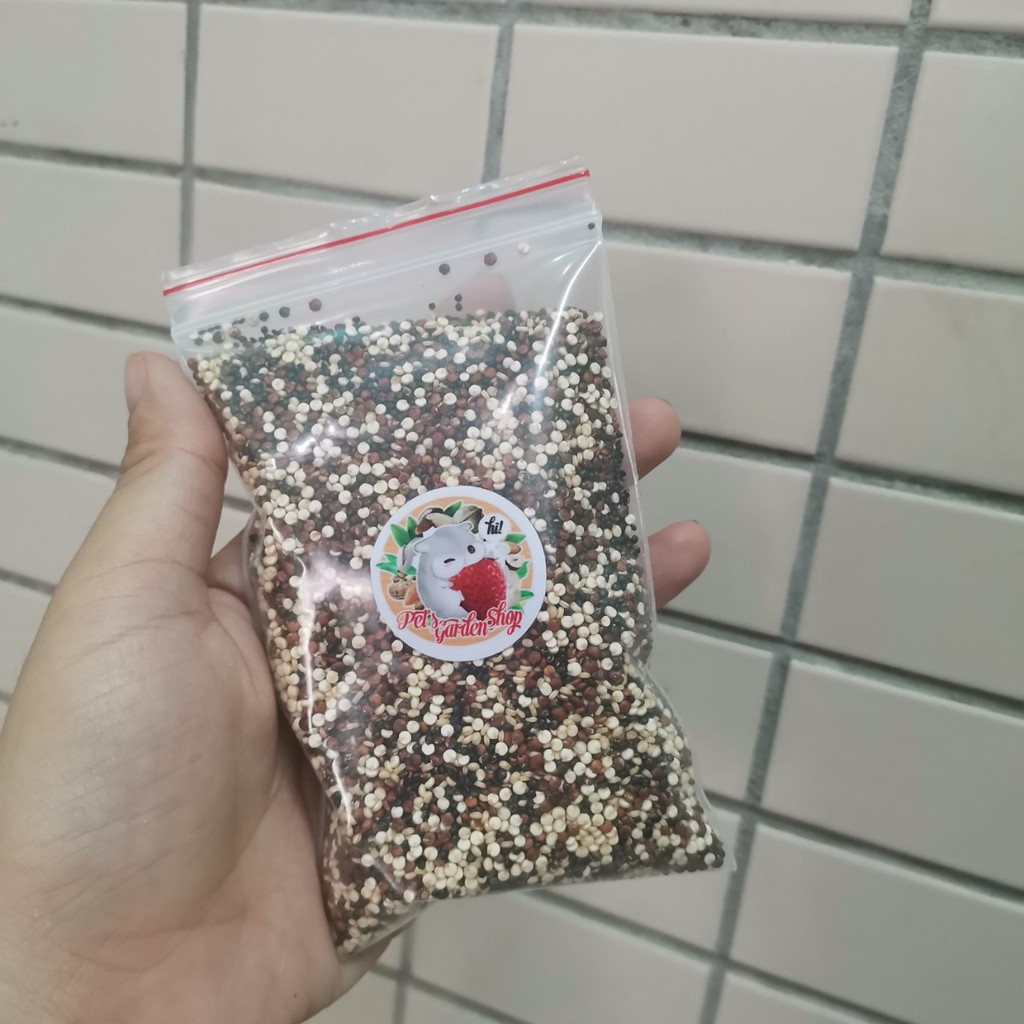 Hạt diêm mạch Quinoa - Thức ăn hamster