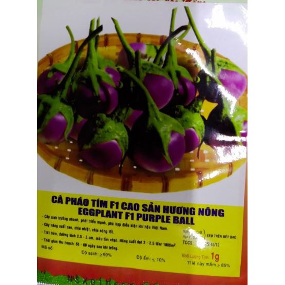 HẠT GIỐNG CÀ PHÁO TÍM F1 - GÓI 1 GRAM