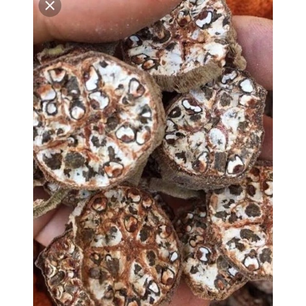 Chuối Hột Rừng tự nhiên 1kg thái lát - Hàng mới,  khô,  thơm loại 1