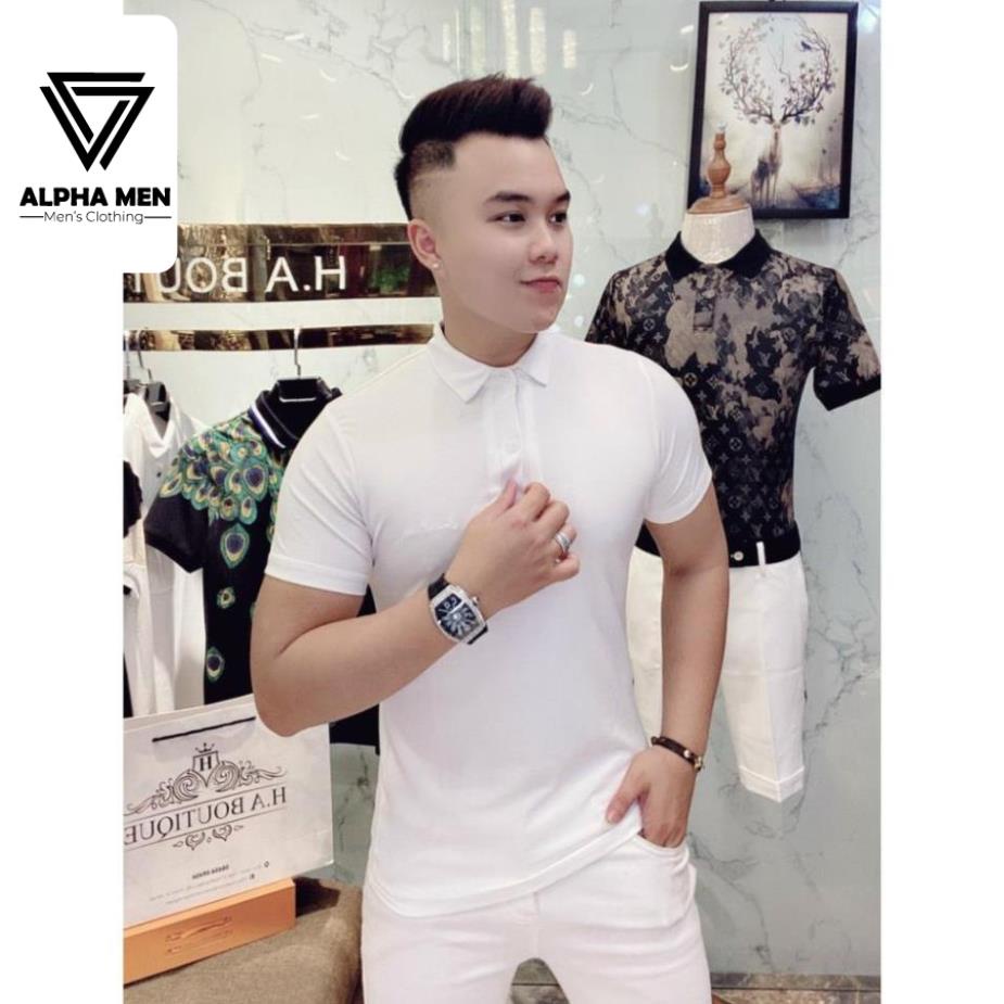 ⭐️SIÊU PHẨM⭐️Áo POLO Nam Cổ Bẻ Vải Thun Mịn Mát Lạnh Nhiều Màu - Áo Thun Nam Cao Cấp chất mát mùa hè M6022 | BigBuy360 - bigbuy360.vn