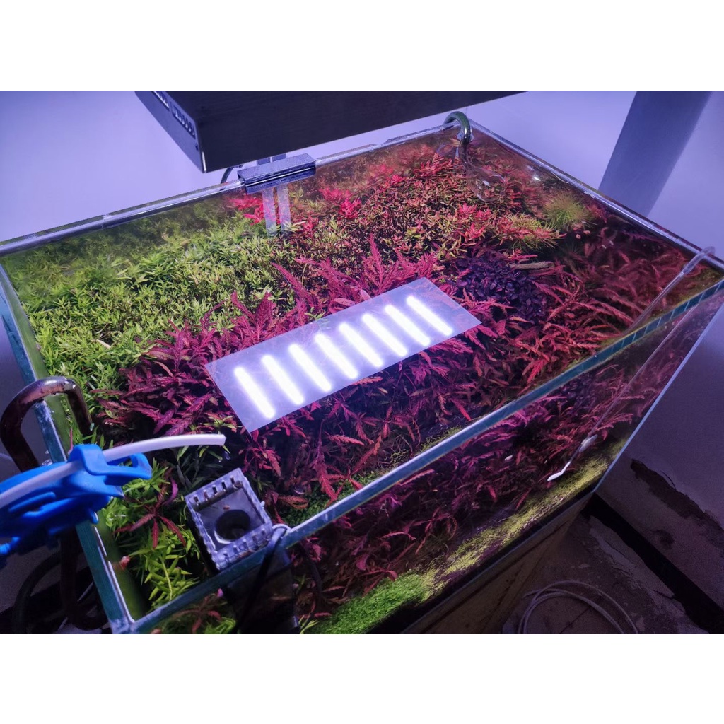 Đèn Led Thủy Sinh WRGBU SkyLed tank