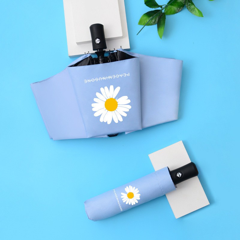 DÙ HOA CÚC BUNG TỰ ĐỘNG CỰC XINH (Màu ngẫu nhiên)