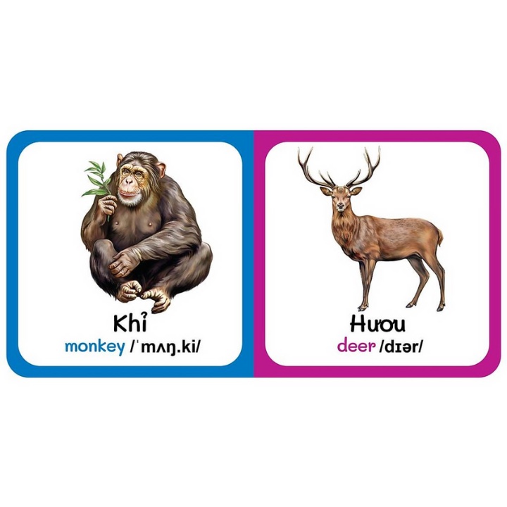 Sách - Từ Điển Bằng Hình Đầu Tiên Của Bé - Wild Animals - Động Vật Hoang Dã (Song Ngữ Anh-Việt)