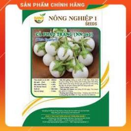HẠT GIỐNG CÀ PHÁO TRẮNG CAO SẢN