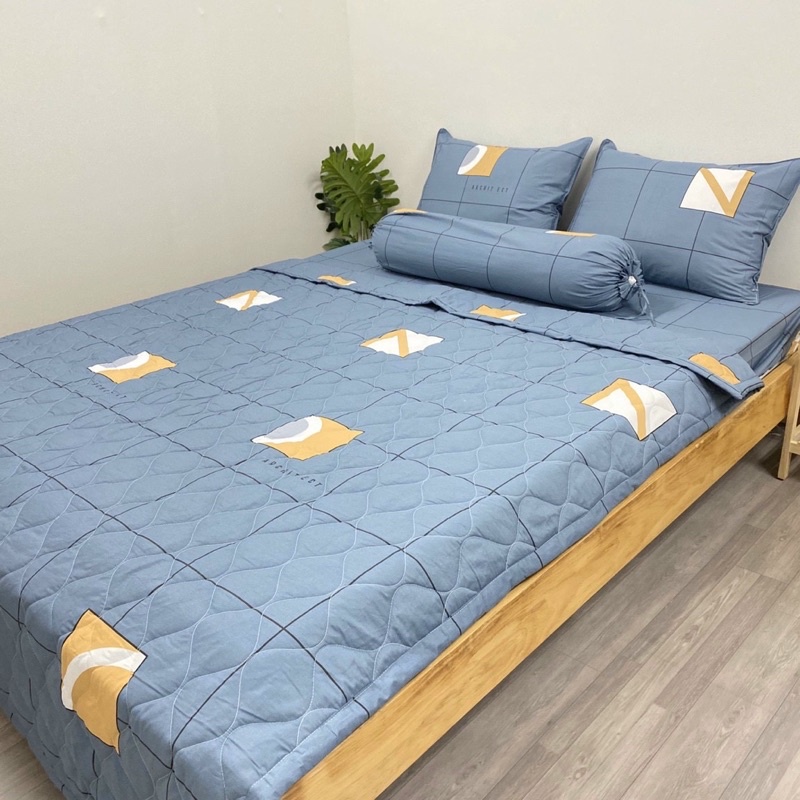 Bộ drap cotton Hàn Quốc 100%cotton( 1 ga, 2 bao gối nằm, 1 bao ôm)
