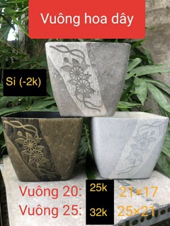 Combo  800 chậu C6 + 100 chậu C10