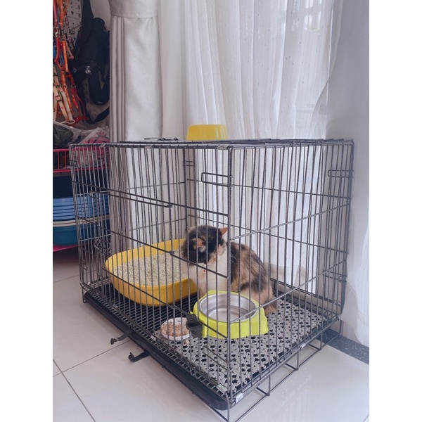 Lót sàn chó chống lọt chân Miếng nhựa lót khay vệ sinh, lót chuồng mèo