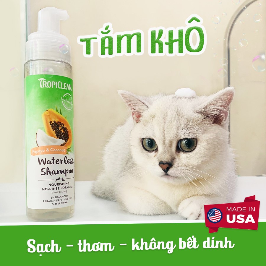 SỮA TẮM KHÔ TROPICLEAN HƯƠNG DỪA - AN TOÀN, MỀM MƯỢT CHO BOSS