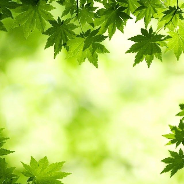 vezo.vn, Cửa hàng trực tuyến | BigBuy360 - bigbuy360.vn