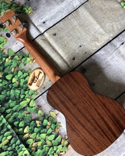 Đàn Ukulele Concert Full Gỗ MT-LML CB2