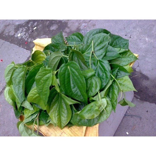 100g Bột lá trầu không giảm mụn tàn nhang nám dưỡng trắng da trắng nguyên chất handmade