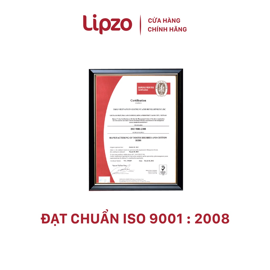 Bàn Chải Đánh Răng Lipzo Adam Cao Cấp, Cấu Tạo Cụm Lông Bàn Chải Đặc Biệt Tăng Hiệu Qủa Làm Sạch Mảng Bám