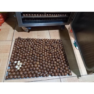 Macca 190k/1kg