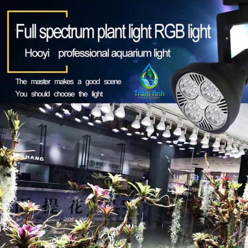Đèn led ray WRGB cao cấp - đèn bể thuỷ sinh / bán cạn - cây quang hợp tốt