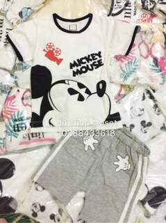 Bộ mickey mouse little maven