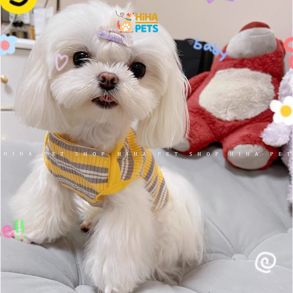 Áo Cho Chó Mèo Ba Lỗ Thoáng Mát Thêu Hoạt Hình Chất Liệu Thun Cotton 100% Mát Mẻ Hàn Quốc, Quần Áo Thú Cưng Hihapet.