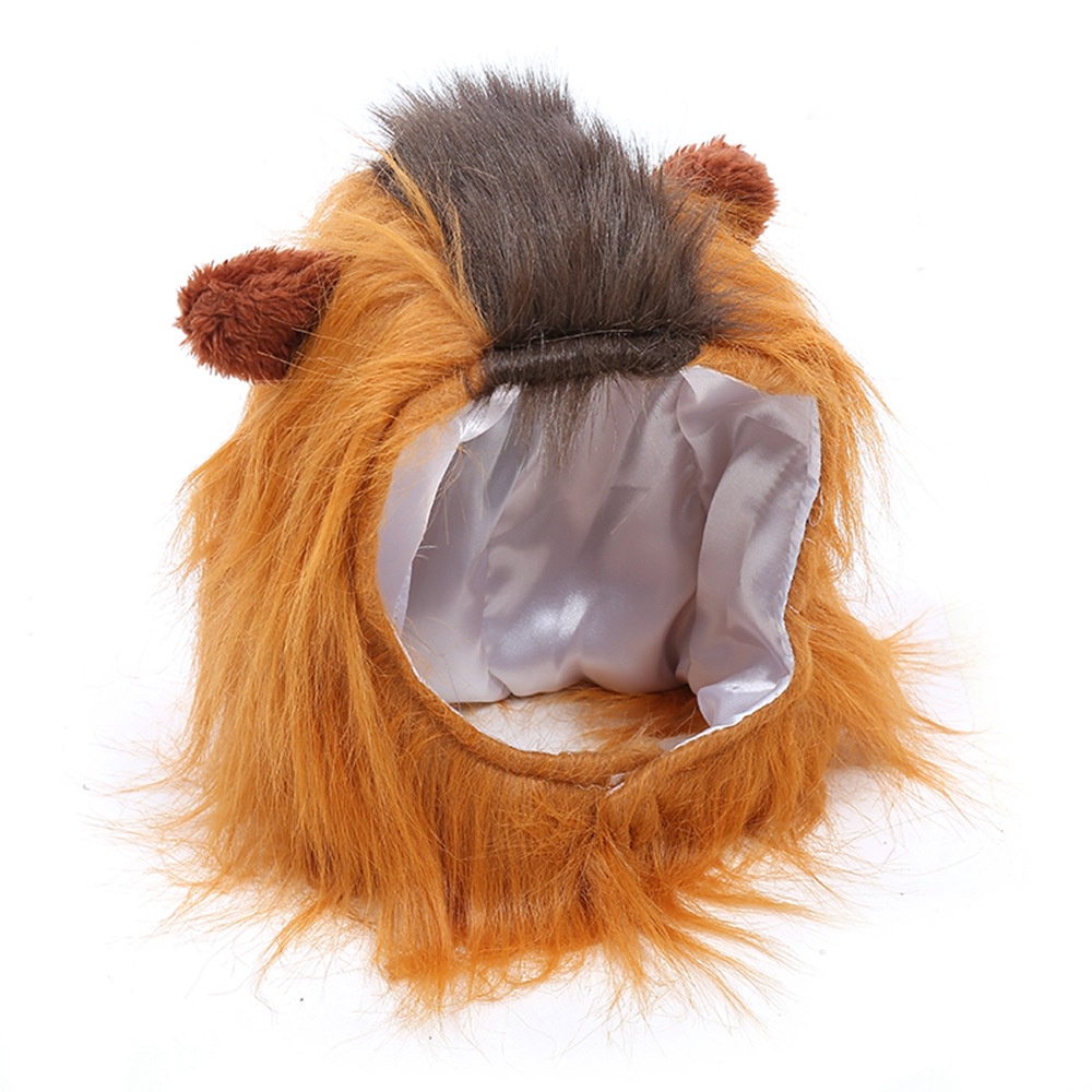 Trang Phục Hóa Trang Nhân Vật Trong Phim Người Đẹp Và Quái Vật