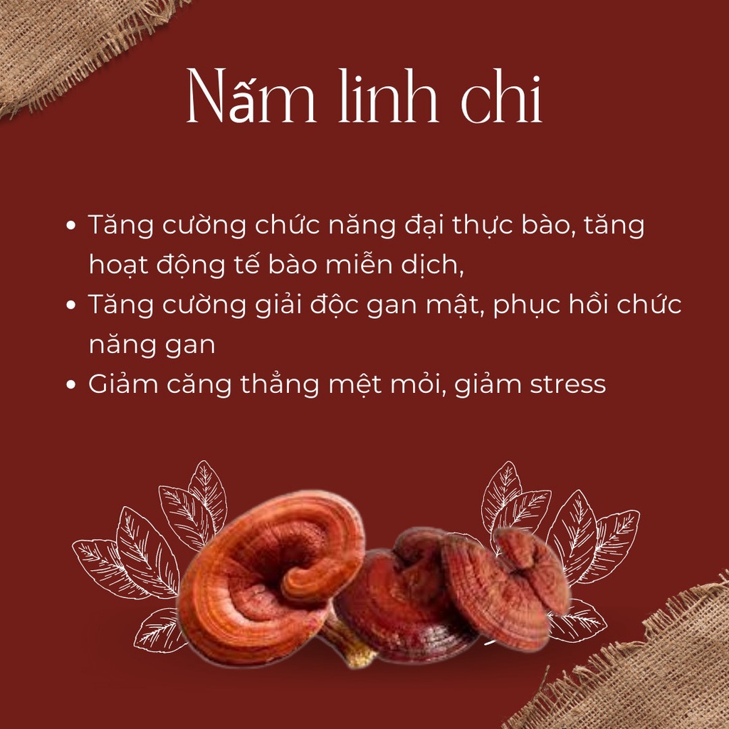 Viên uống nấm linh chi và fucoidan super gold 240v hàng Nhật nội địa Sakuko