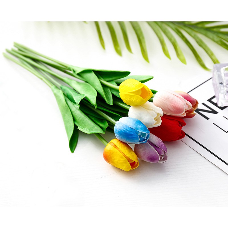 Hoa tuylip phụ kiện chụp ảnh