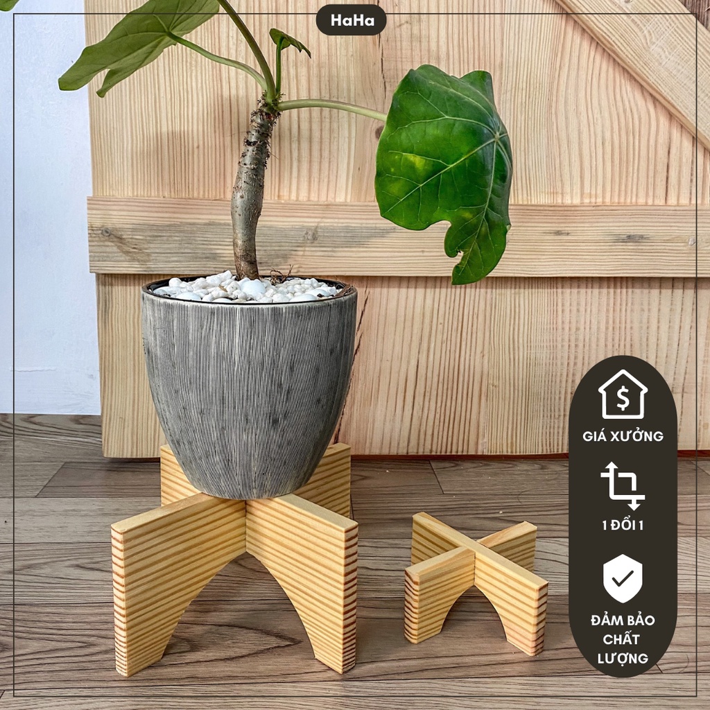 Đôn gỗ mini đặt cây cảnh - Kệ Gỗ Decor cây cảnh CCG11