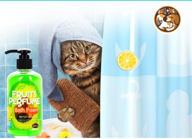 [sữa tắm chuyên dụng cho mèo]  Sữa Tắm Nước Hoa Trái Cây Fruits Perfume duy trì bộ lông mềm mượt dành cho mèo