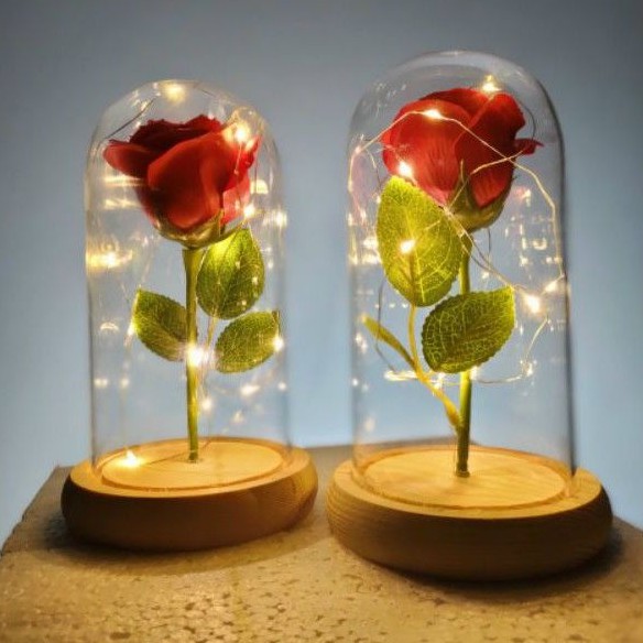 Hoa Hồng Trong Lồng Kính Có Đèn Led