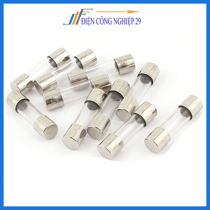 Bộ 10 Cầu chì ống thuỷ tinh 250v 5x20mm