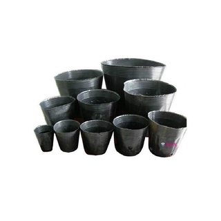 1kg bầu ươm cây full size, bầu trồng cây đủ kích cỡ