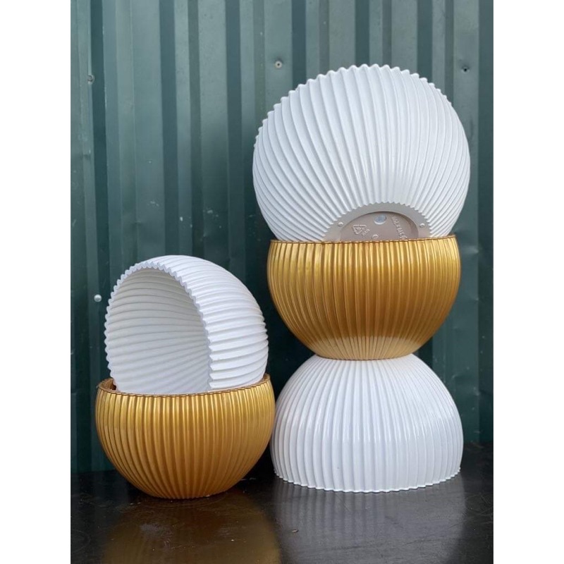 Chậu Gân sọc để bàn màu Vàng Đồng      và Trăng   derco siêu siêu đẹp ạ - Ảnh thật