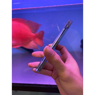 kính kè IPhone cao cấp dành cho cá la hán