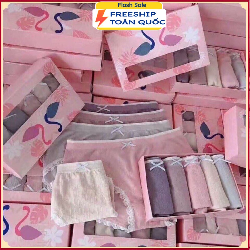 PVN24564 Set 5 Quần Lót Cotton Nữ In Hình Chim Hồng Hạc T2 .