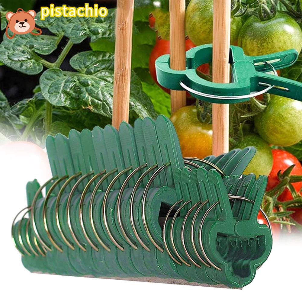 Kẹp Trồng Cây Cà Chua Chống Thời Tiết Tiện Dụng