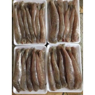 1 KG CÁ BỐNG Biển ngon