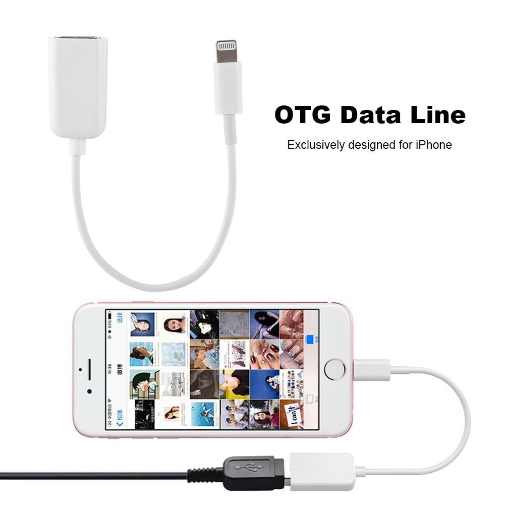 CÁP CHUYỂN ĐỔI OTG, từ Lightning sang OTG, dài 20cm | BigBuy360 - bigbuy360.vn