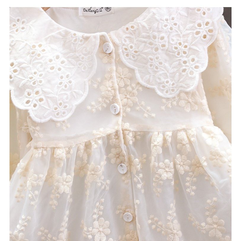 Summer girls dress Beautiful lace dress baby dress children's dress