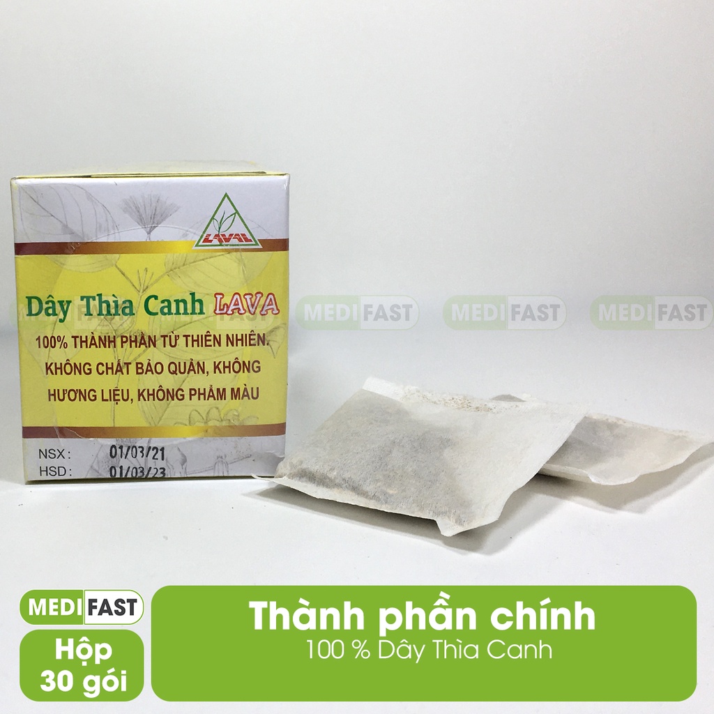 Trà túi lọc Dây Thìa Canh Lava 30 túi dành cho người tiểu đường type 1, 2 giúp làm giảm hạ đường huyết trong máu