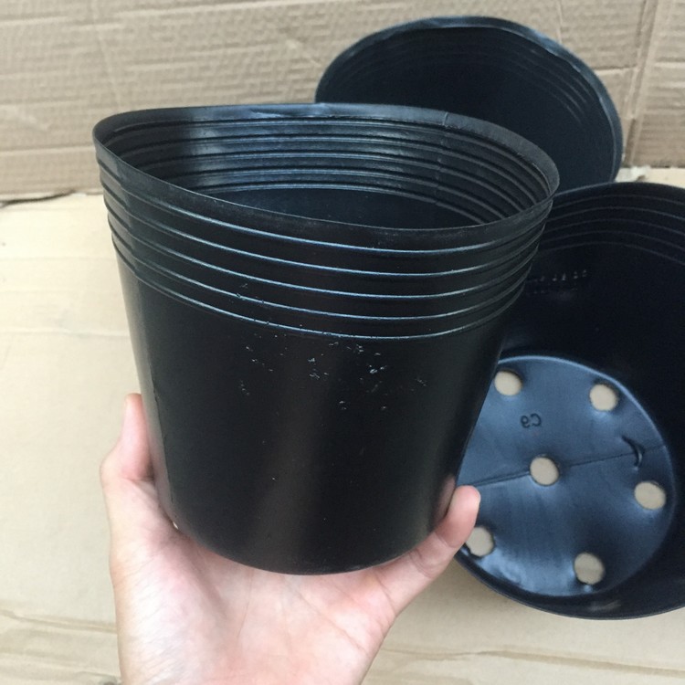 Bộ 100 Chậu trồng Hoa, Cây cảnh C8 (18x16cm)