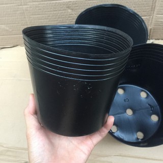 Bộ 100 Chậu trồng Hoa, Cây cảnh C8 (18x16cm)