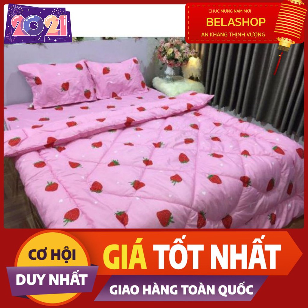 Bộ drap 1m6 cotton poly dâu hồng ms037373+