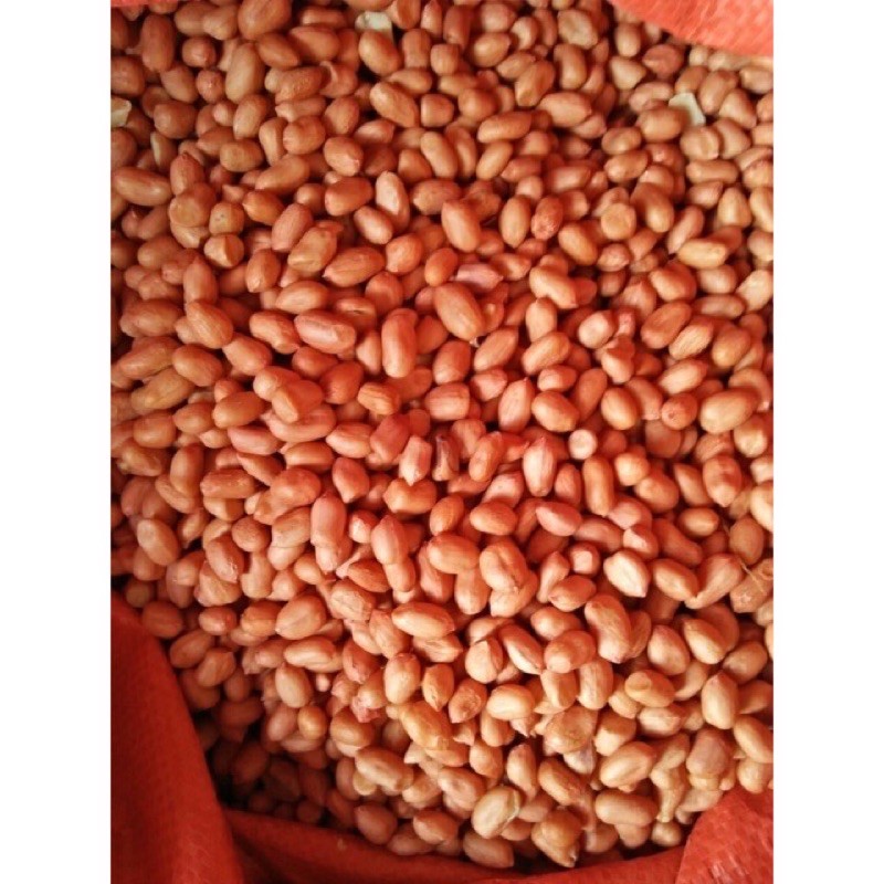 [FREESHIP - GIÁ SỈ] 500G LẠC ĐỎ - LẠC VÀNG QUÊ NGHỆ AN