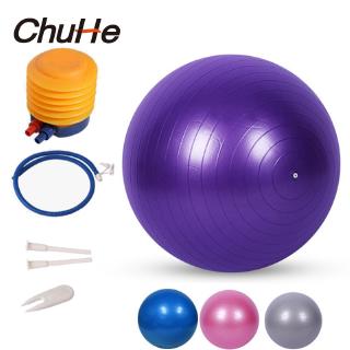CHUHE 45cm-75cm Bóng tập Yoga chống nổ có bơm, Bóng cân bằng độ ổn định cực dày Chuyên nghiệp Chống nổ & Chống trượt, Bóng tập thể dục nữ MIỄN PHÍ bơm khí + kéo khí + phích cắm khí