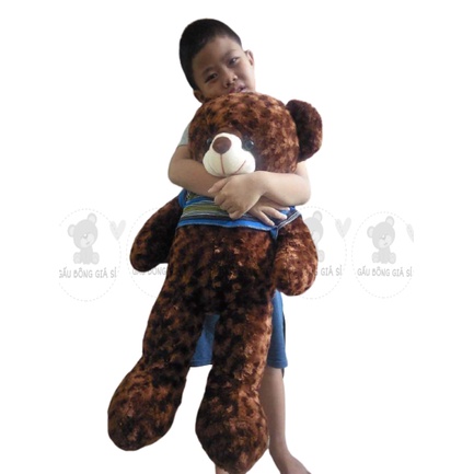 GẤU BÔNG TEDDY (80cm) THÚ NHỒI BÔNG TEDDY CAO CẤP GIÁ RẺ