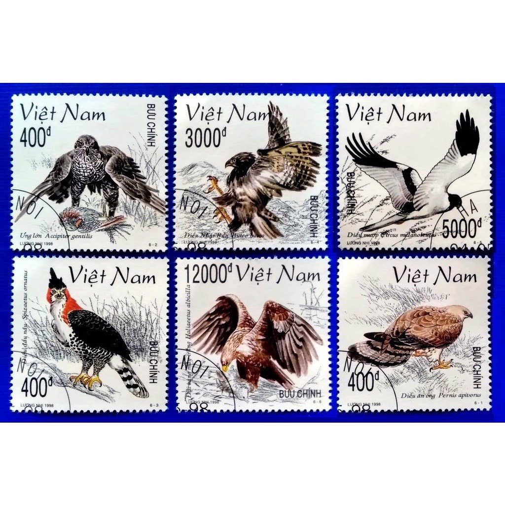 Tem sưu tập Tem CTO Việt Nam Chim dữ Châu Á 1998 ( 6 tem )